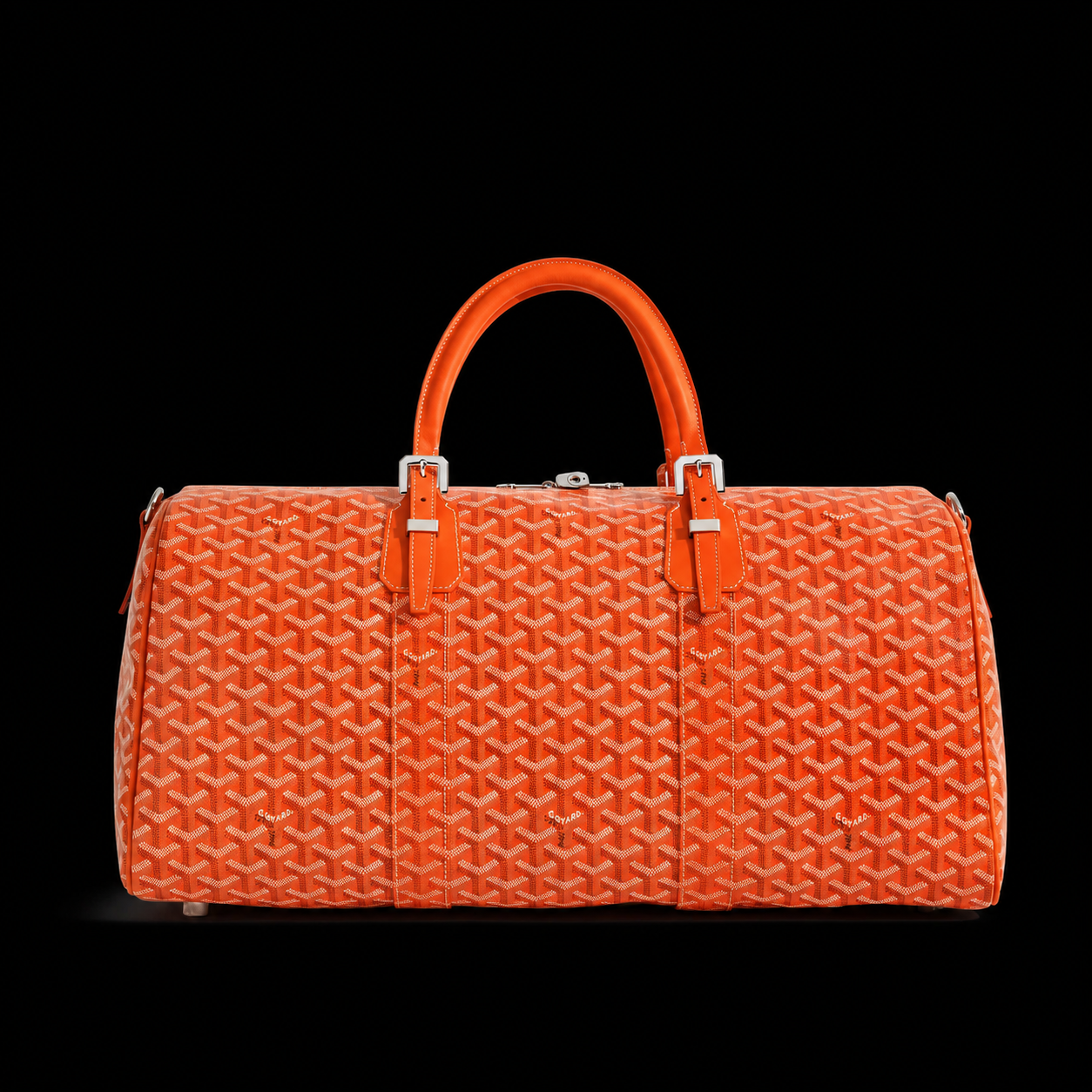 Goyard travel bag