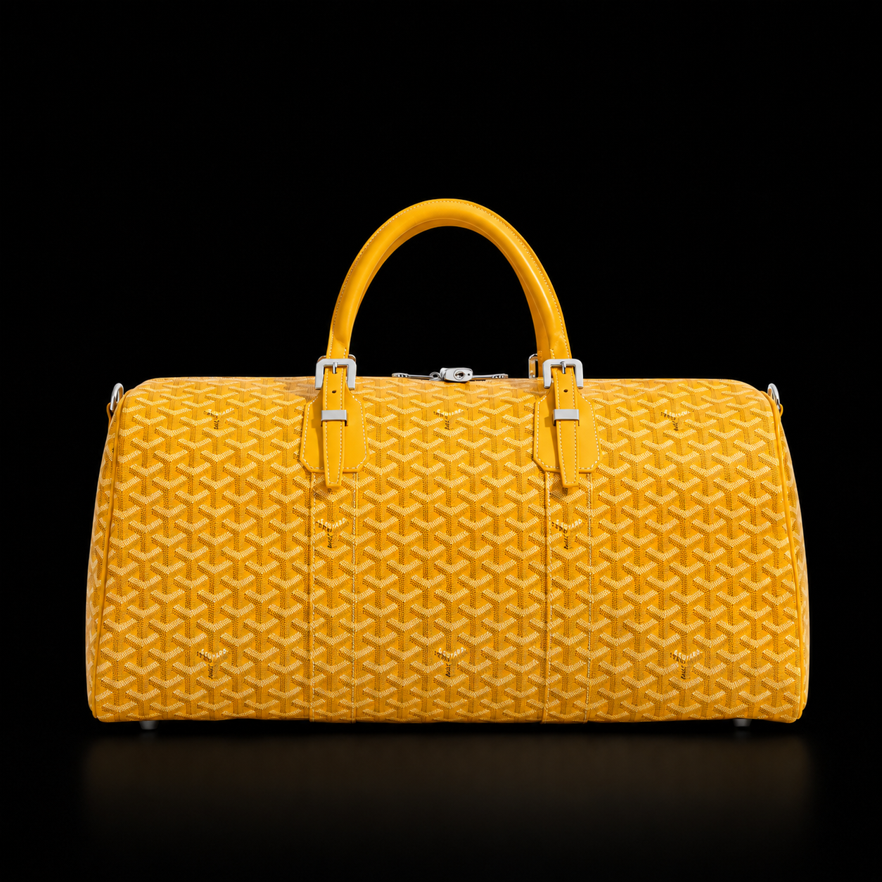 Goyard travel bag