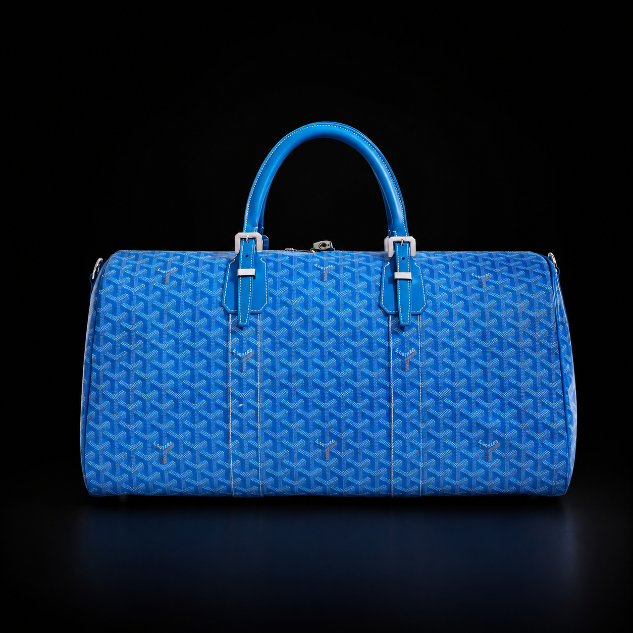 Goyard travel bag